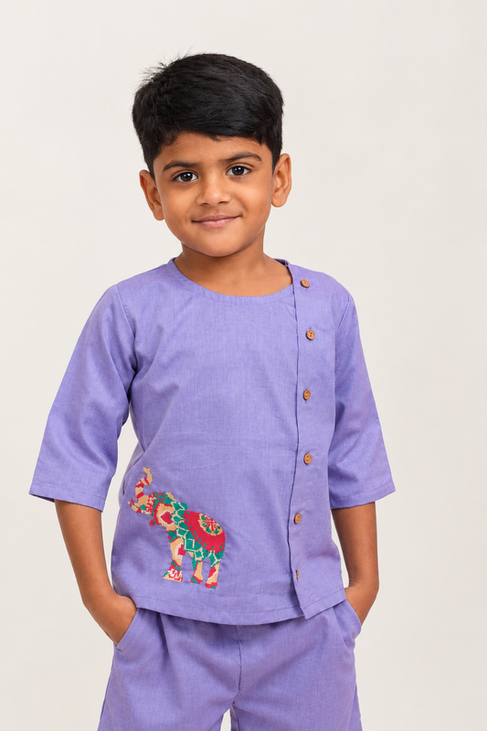 VIolet with Elephant Embroidered Boys Co-ords set